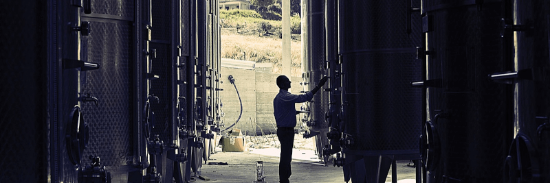 Barone Montalto vinkjeller