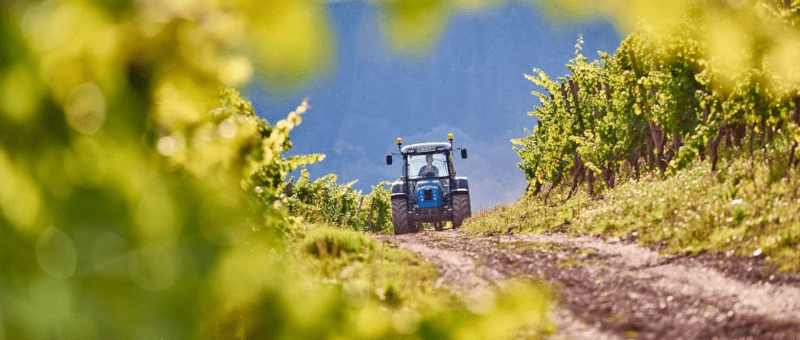 Traktor på Karthaeuserhofs vingård Traktor på Karthaeuserhofs vingård