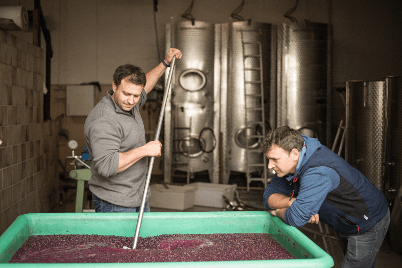 Peter und Fritz May im Weinkeller Peter und Fritz May im Weinkeller