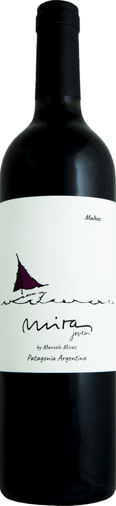 Vorschau: pakke med 6 druesorter - Best of Malbec Argentina