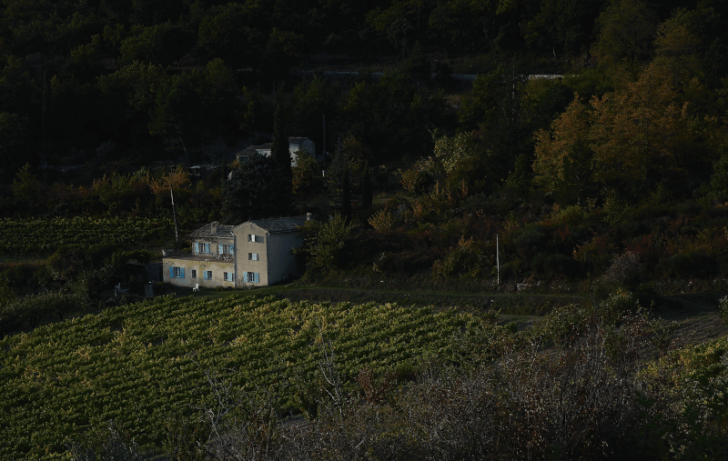 Die Weinberge von Oddbird liegen unter anderem in Frankreich