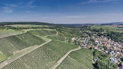 VDP Grossen Lagen tilbyr ideelle forhold for førsteklasses Riesling VDP Grossen Lagen tilbyr ideelle forhold for førsteklasses Riesling