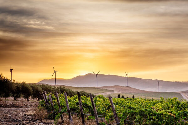 Moderne og tradisjon hos Branciforti