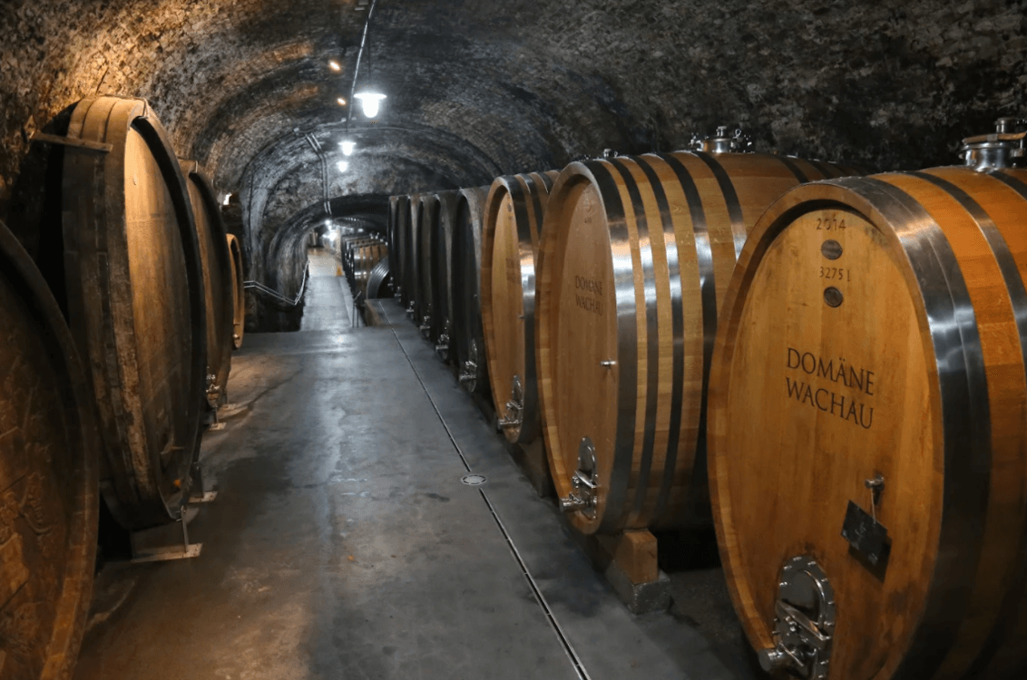 Domane Wachau Holzfasskeller Domane-Wachau-Holzfasskeller