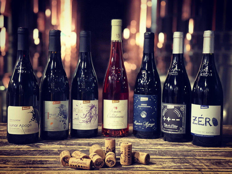 weingut-carabiniers-weinberg-2 weingut-carabiniers-weinberg-2