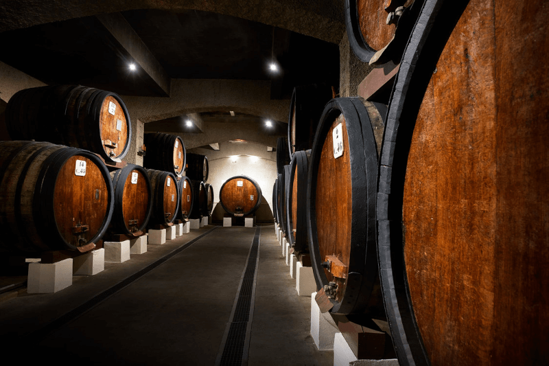 Cellier des Princes vinkjeller Cellier des Princes vinkjeller