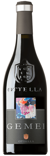 Vorschau: Campioni del Nord - 6x Oppdagelsespakke med norditalienske viner