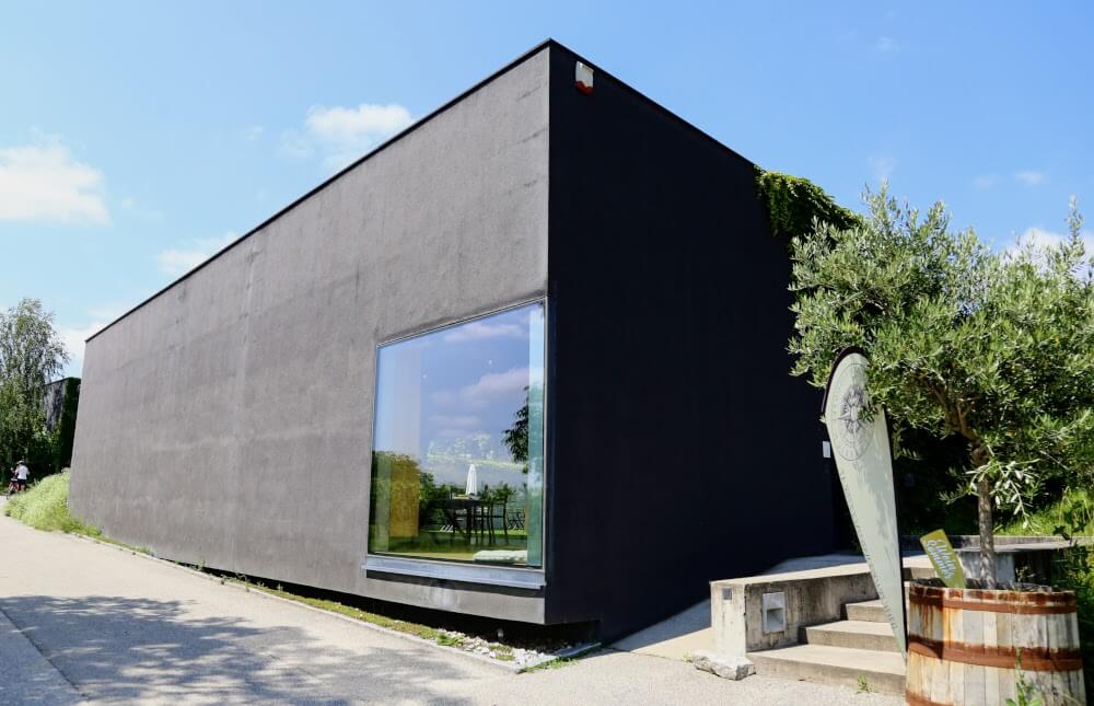 Vingården Loimer Administrasjon Smaksprøver og trapper til kjelleren