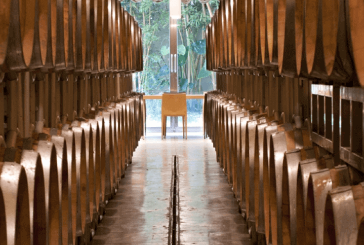 Cusumano vinkjeller barricaia