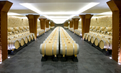 Fatkjeller hos Dinastia Vivanco Fatkjeller hos Dinastia Vivanco