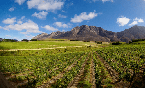 Utsikt over vinmarkene til Simonsberg Utsikt over vinmarkene til Simonsberg
