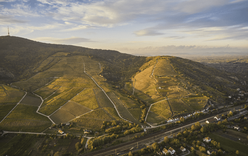 Tokaj landskap fugleperspektiv