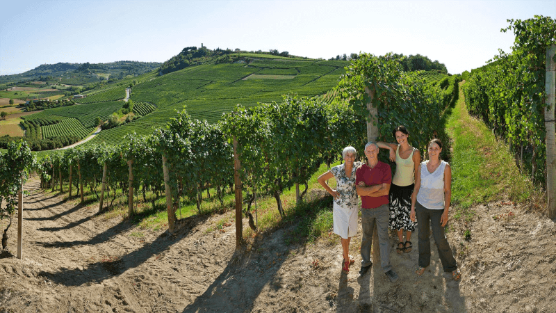 Familien i vinmarken