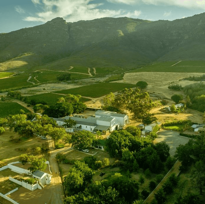 Vingården Allesverloren i Swartland