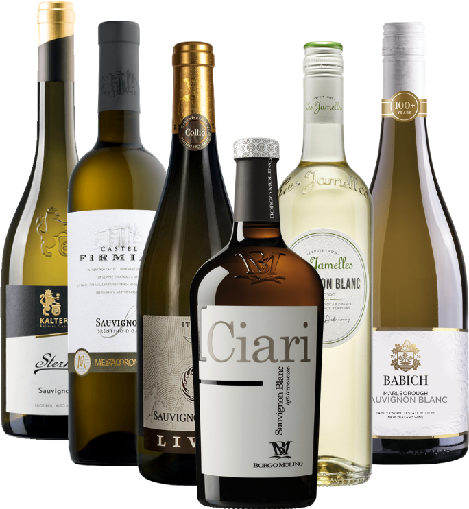 Den fascinerende verdenen av Sauvignon Blanc – 6x druesortpakke
