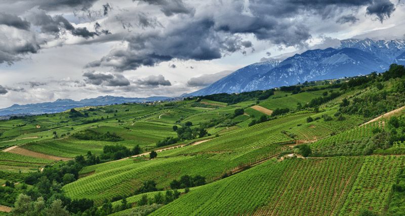 Tenuta Ulisse Vinmark