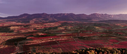 Dinastia Vivanco Rioja Dinastia Vivanco Rioja