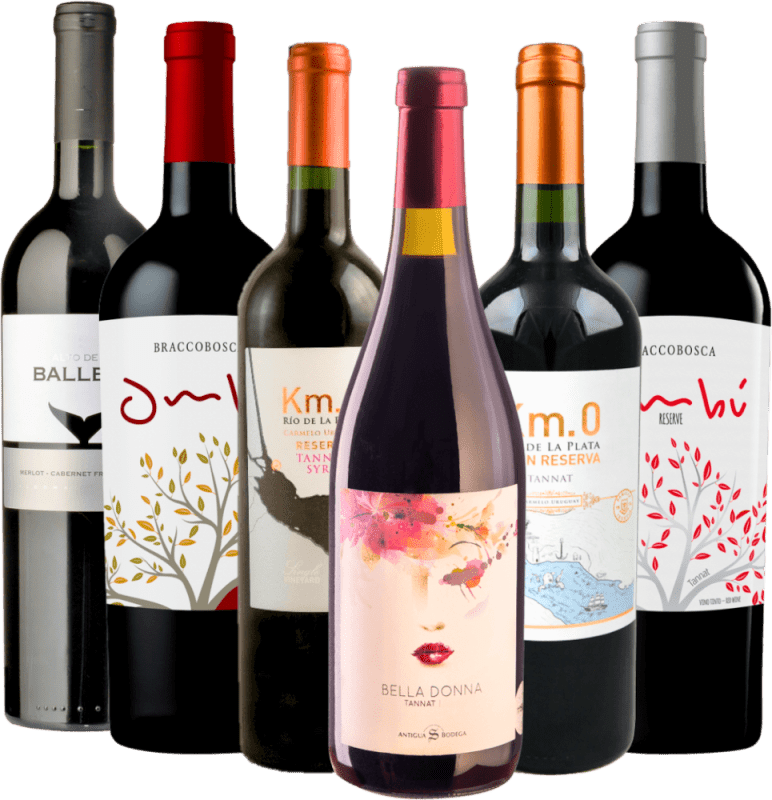 pakke med 6 druesorter - Best of Tannat Uruguay