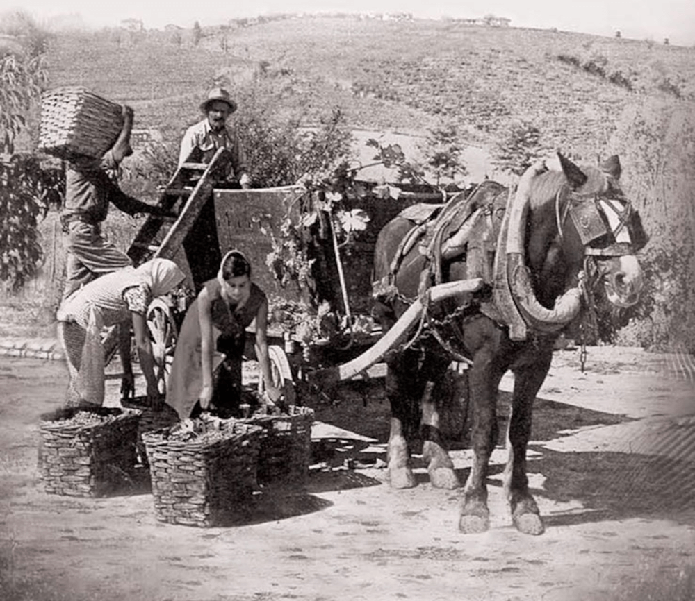 santero lamilienerinnerungen