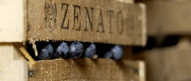 Zenato - trekasse
