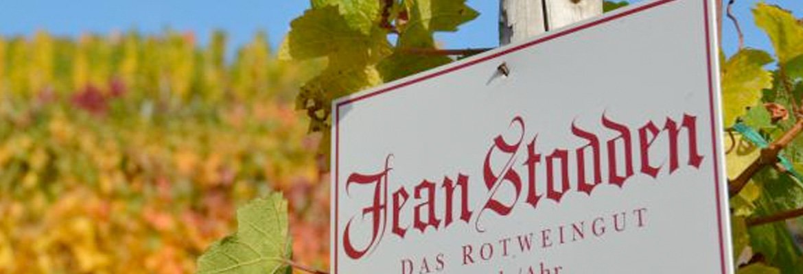 Rødvinsvingården Jean Stodden