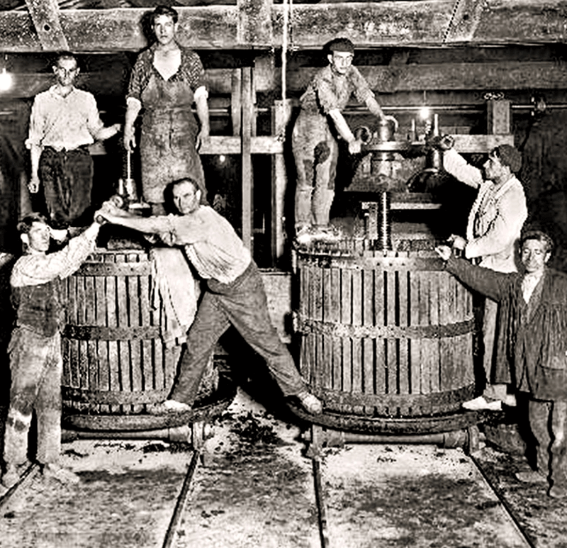 De første fatene De første fatene