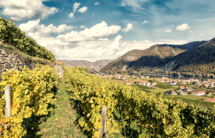 Vinregionen til Rudi Pichler Vinregionen til Rudi Pichler