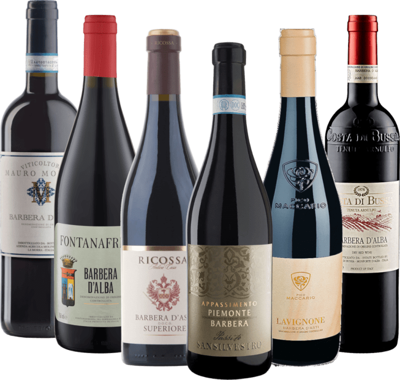 Med Barbera gjennom Piemonte - 6x prøvesmakingspakke