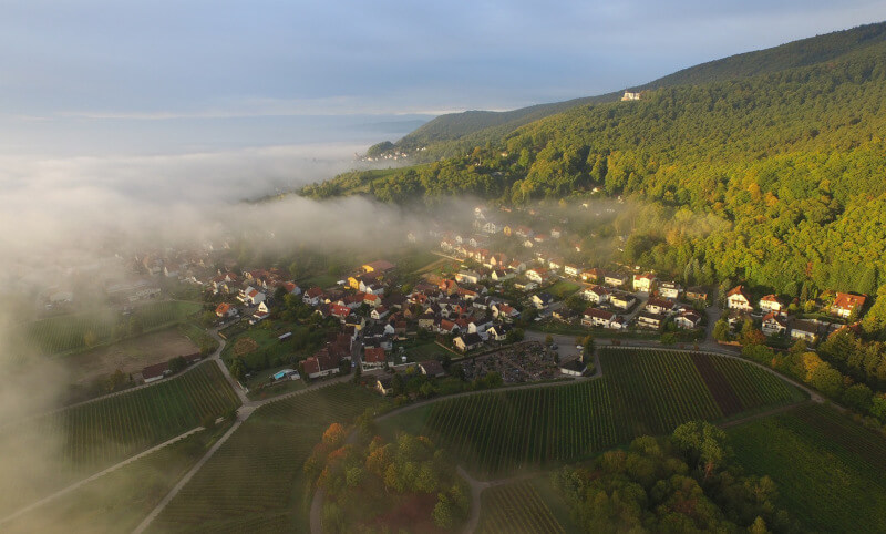 Weingut Messmer Burrweiler Luftbild Weingut Messmer Burrweiler Luftbild