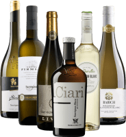 Vorschau: Den fascinerende verdenen av Sauvignon Blanc – 6x druesortpakke