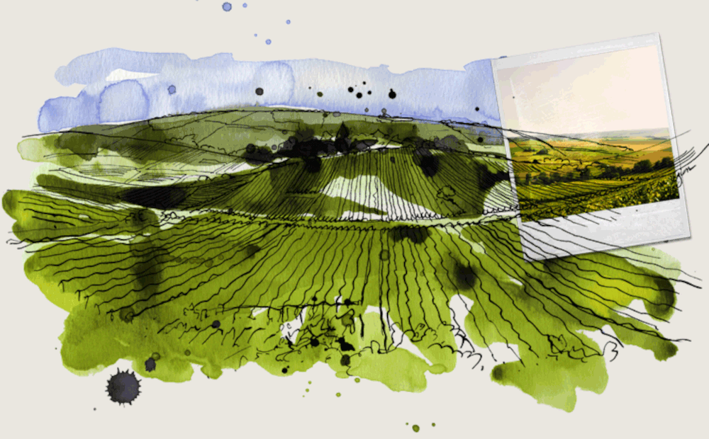 champagne drappier urville picture