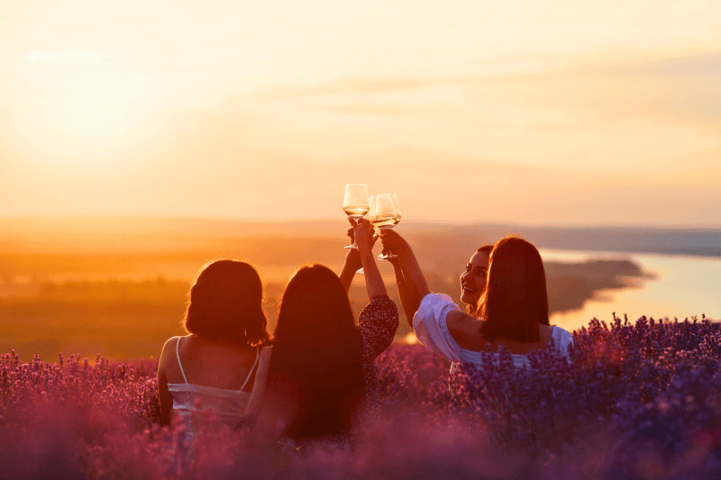 Vier-Frauen-im-Lavendelfeld-mit-Provence-Rose