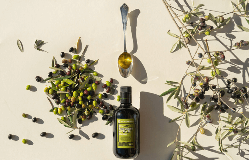 Vignamaggio Olivenoel