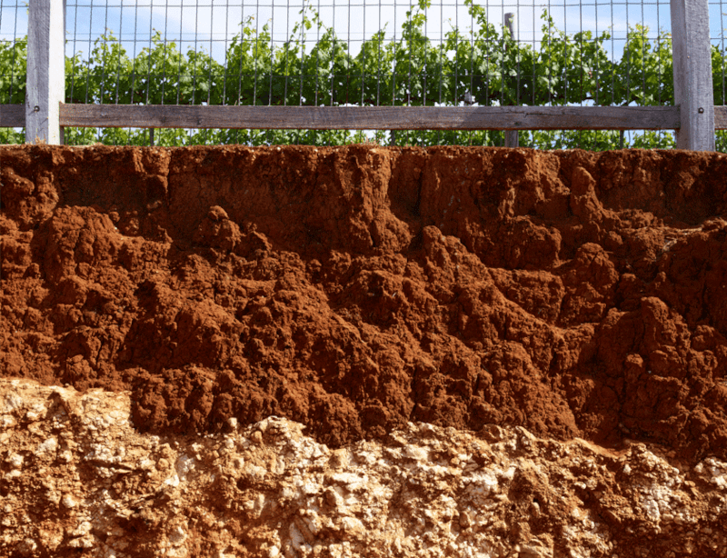 Jordsmonnet i Coonawarra Jordsmonnet i Coonawarra