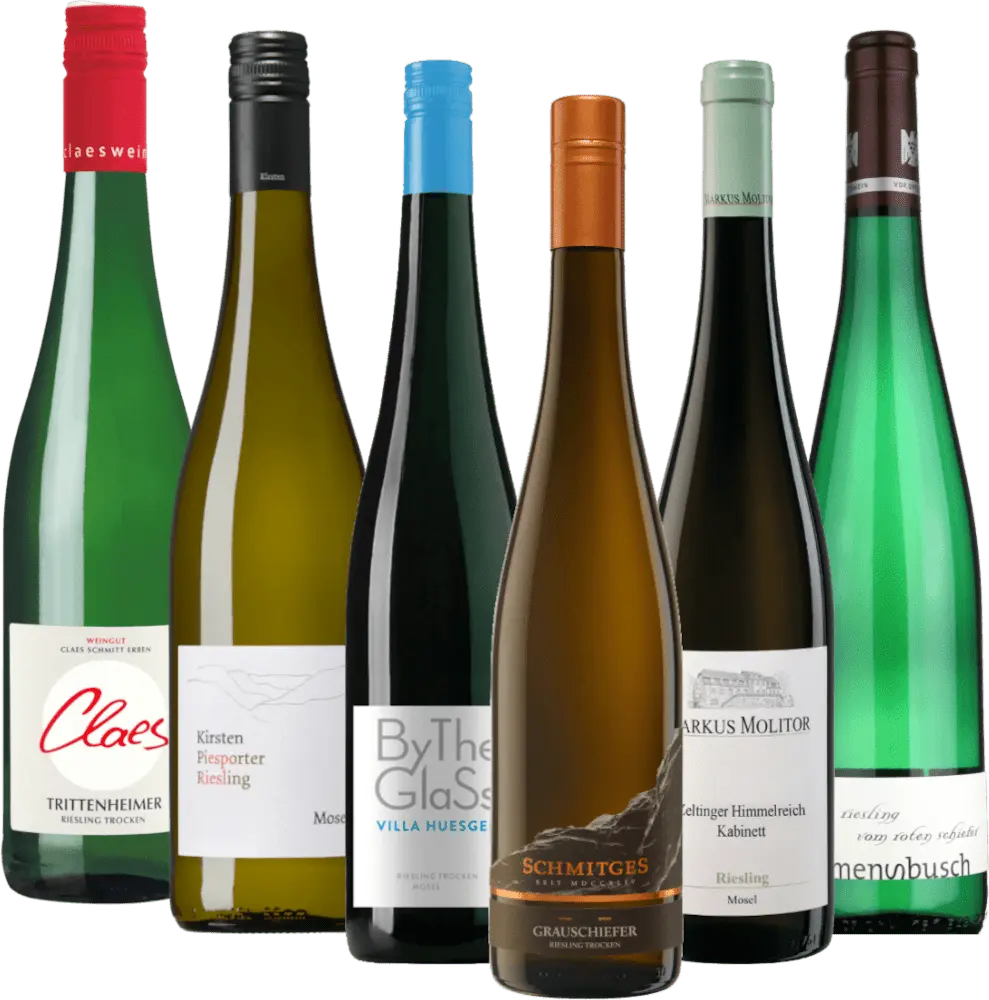 Rieslingreise langs Mosel 