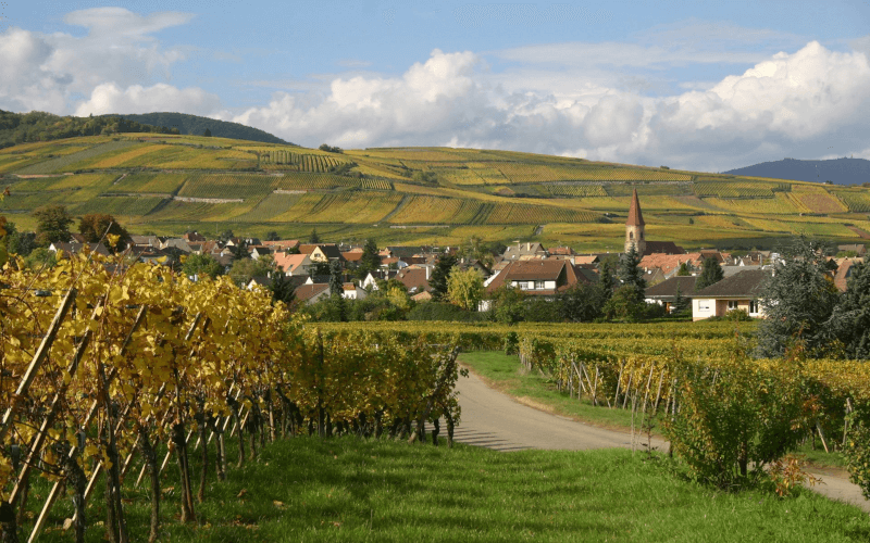 Weingut Andre Stentz