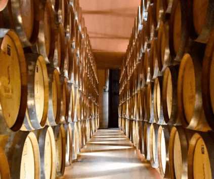 Tønner i nærheten av Segnana