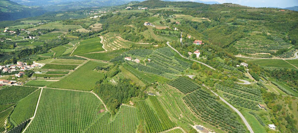 Åsene i Valpolicella