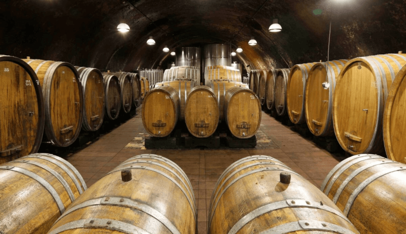 I kjelleren hos vingården Wittmann