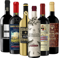 Primitivo stilig høydepunkter 6x gavepakke fra VINELLO