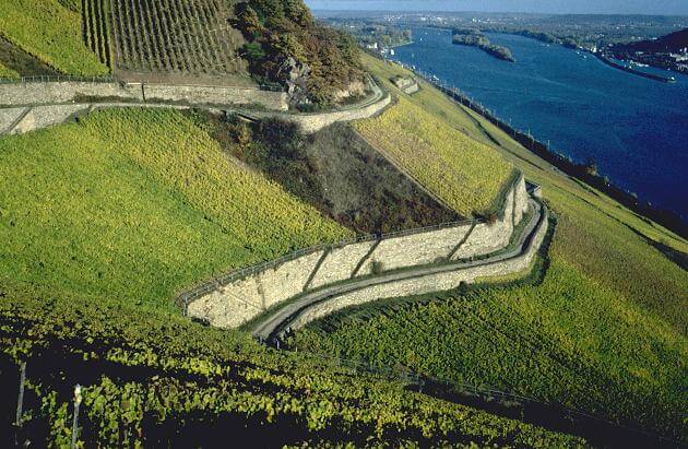 Georg Breuer - Rüdesheimer Schlossberg Georg Breuer - Rüdesheimer Schlossberg