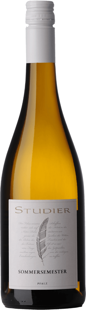 Vorschau: 6er Kennenlern-Weinpaket - Das Grundstudium vom Weingut Studier