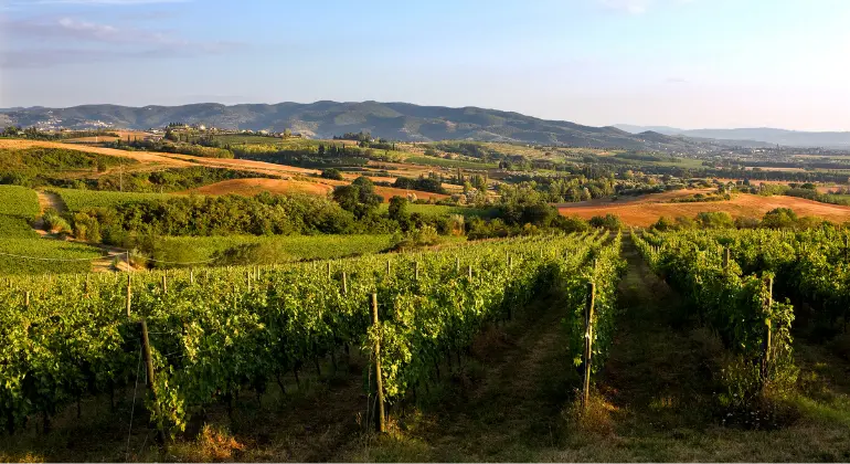 Nytelsesreise gjennom Umbria med Lungarotti – 6x introduksjonspakke