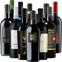 Vorschau: De beste Primitivo-mesterne fra VINELLO – 12x prøvesett