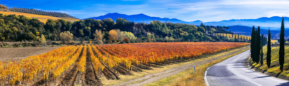 Toscana Terra Soprana