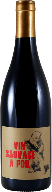 Vin Sauvage à Poil - Chateau de la Terriére