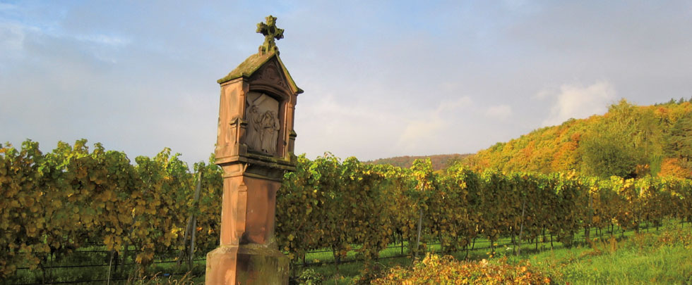 Lergenmüller vingård i nærheten av Hainfeld