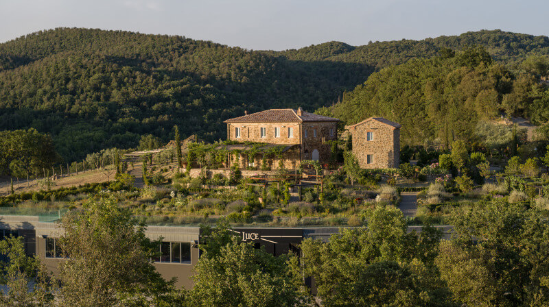 Vingård Tenuta Luce Vingård Tenuta Luce