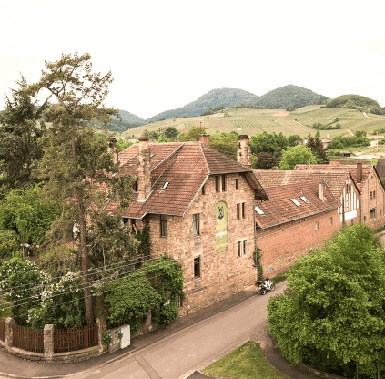 Vingård Dr. Wehrheim