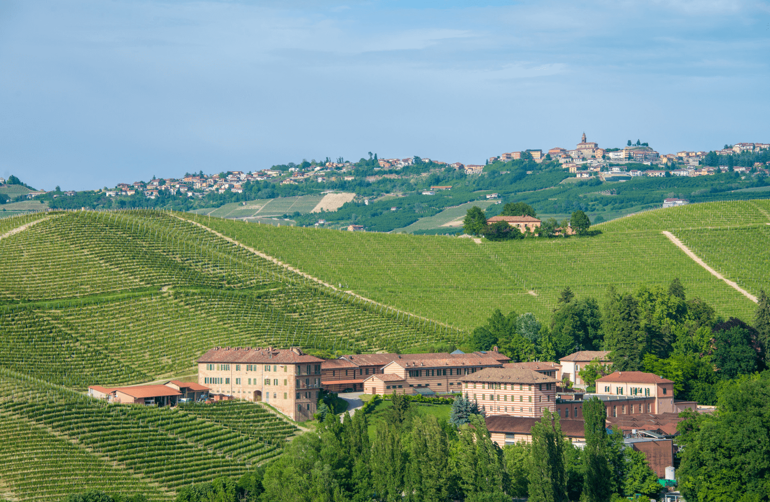 Vinprodusent Fontanafredda Piemonte